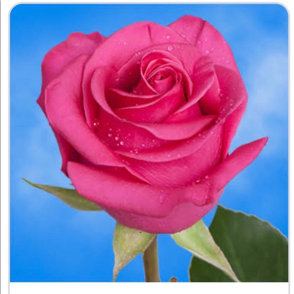 Meet your Posher, Derly - Picture 2 of 2